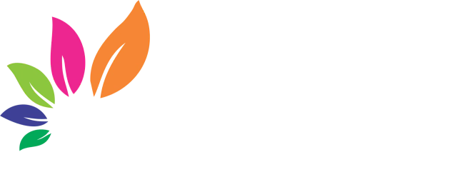 Videira e Arte